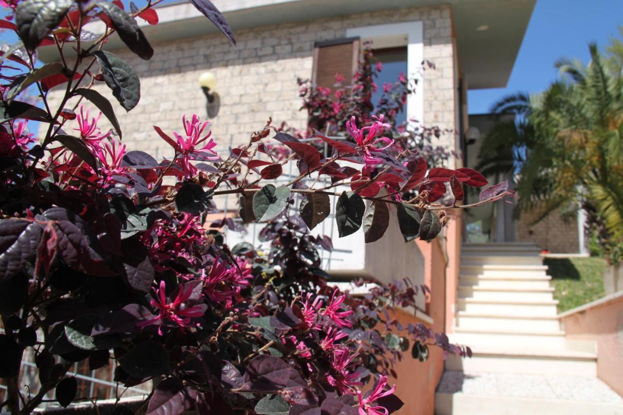 Villino Con Piscina Villa Terni Luaran gambar